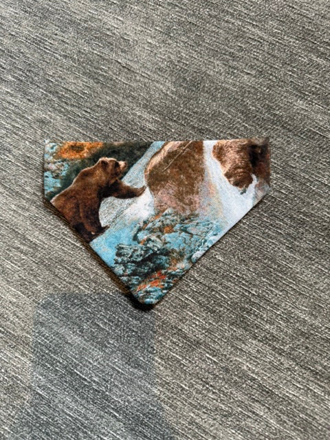 Small Pet Bandana