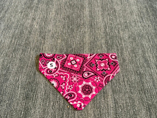Small Paisley Pet Bandana